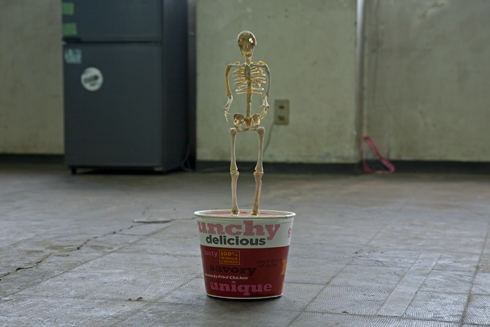 スケルトン,skeleton,2009